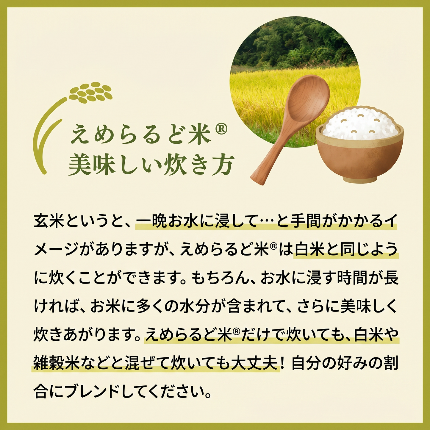 えめらるど米 840g
