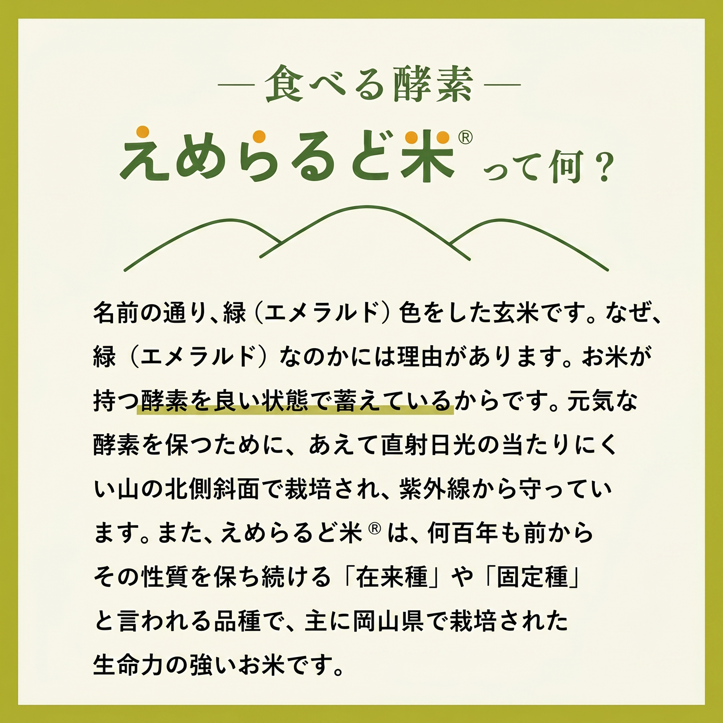 えめらるど米　840g
