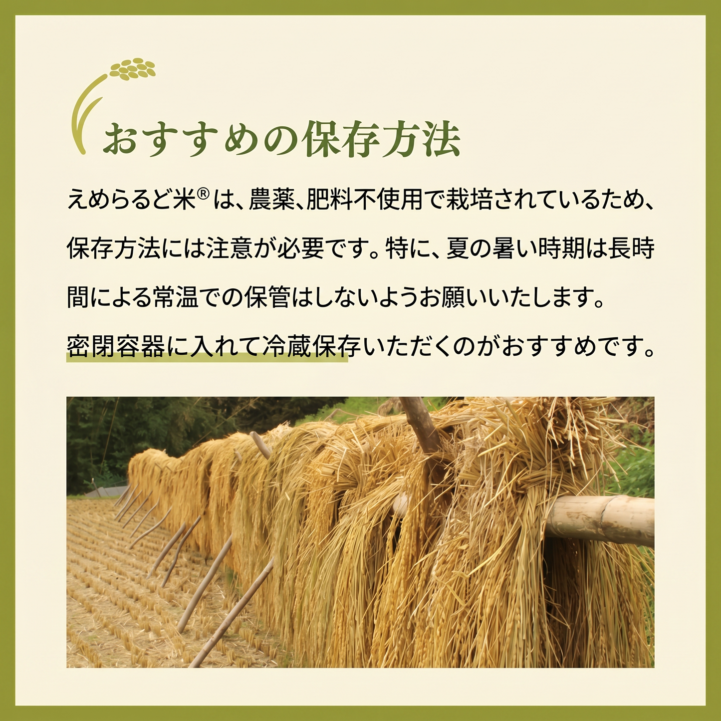 えめらるど米　840g