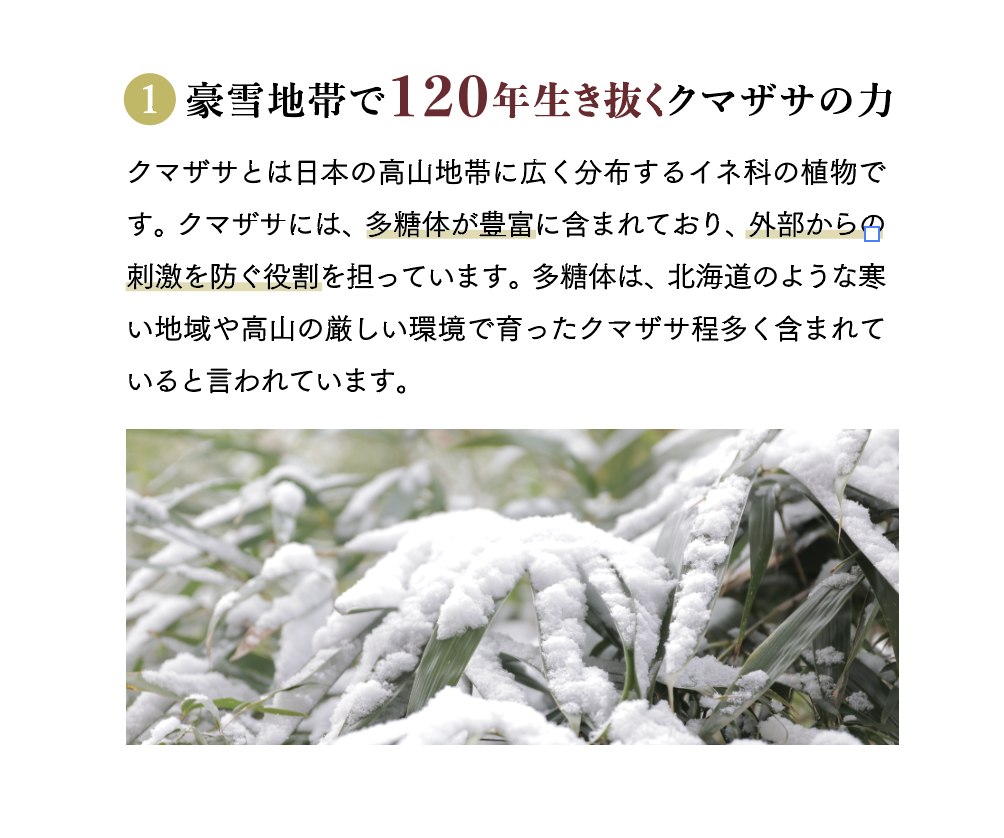オレノデバン デンタルペースト 40g
